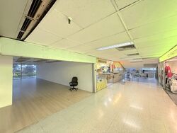 Far East Shopping Centre (D9), Shop House #556333371